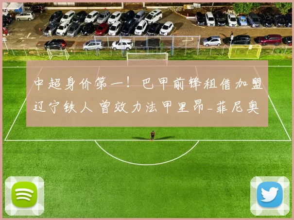 中超身价第一！巴甲前锋租借加盟辽宁铁人 曾效力法甲里昂_菲尼奥_巴西博塔弗戈_球员