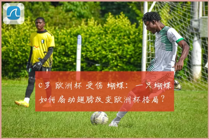 c罗 欧洲杯 受伤 蝴蝶：一只蝴蝶如何扇动翅膀改变欧洲杯格局？